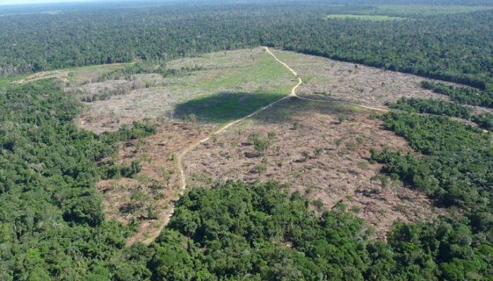 fazendeiro-e-condenado-por-desmatar-terra-indigena-em-mato-grosso-para-plantar-soja
